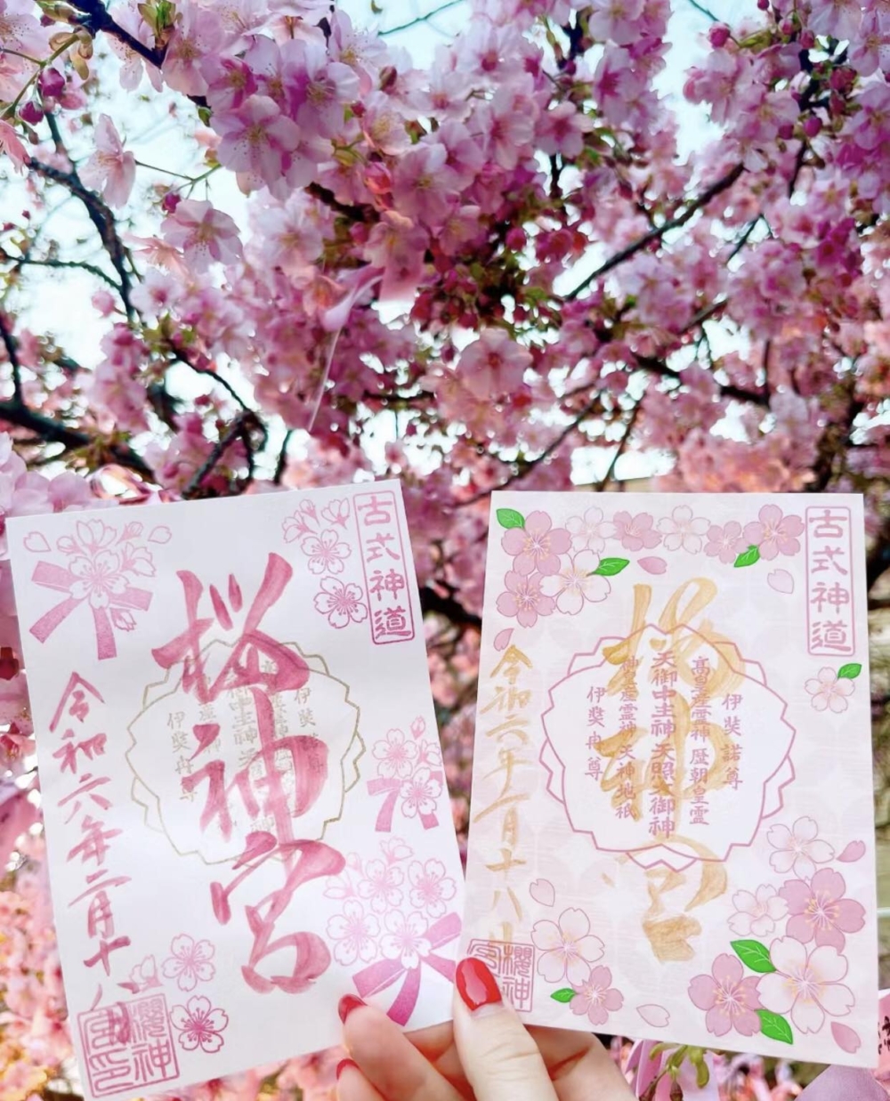 今年全新推出兩款櫻花限定的御朱印~
