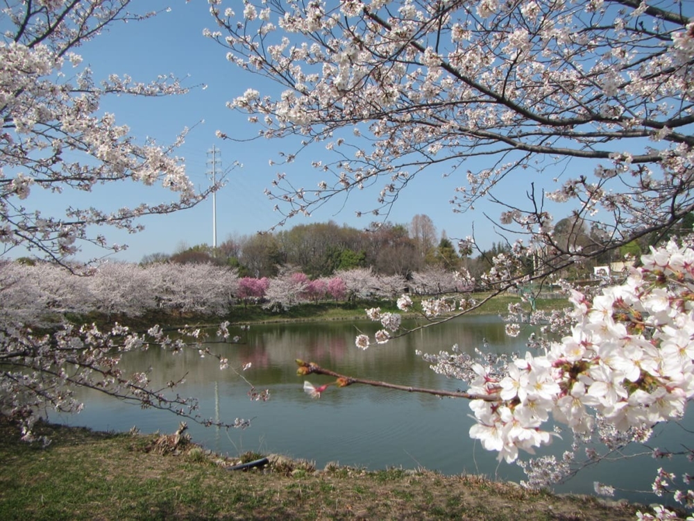 花博紀念公園 鶴見緑地。