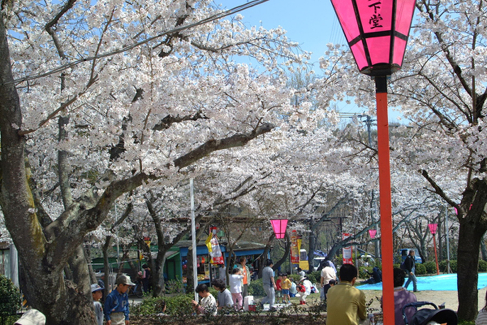 攝津峽公園。