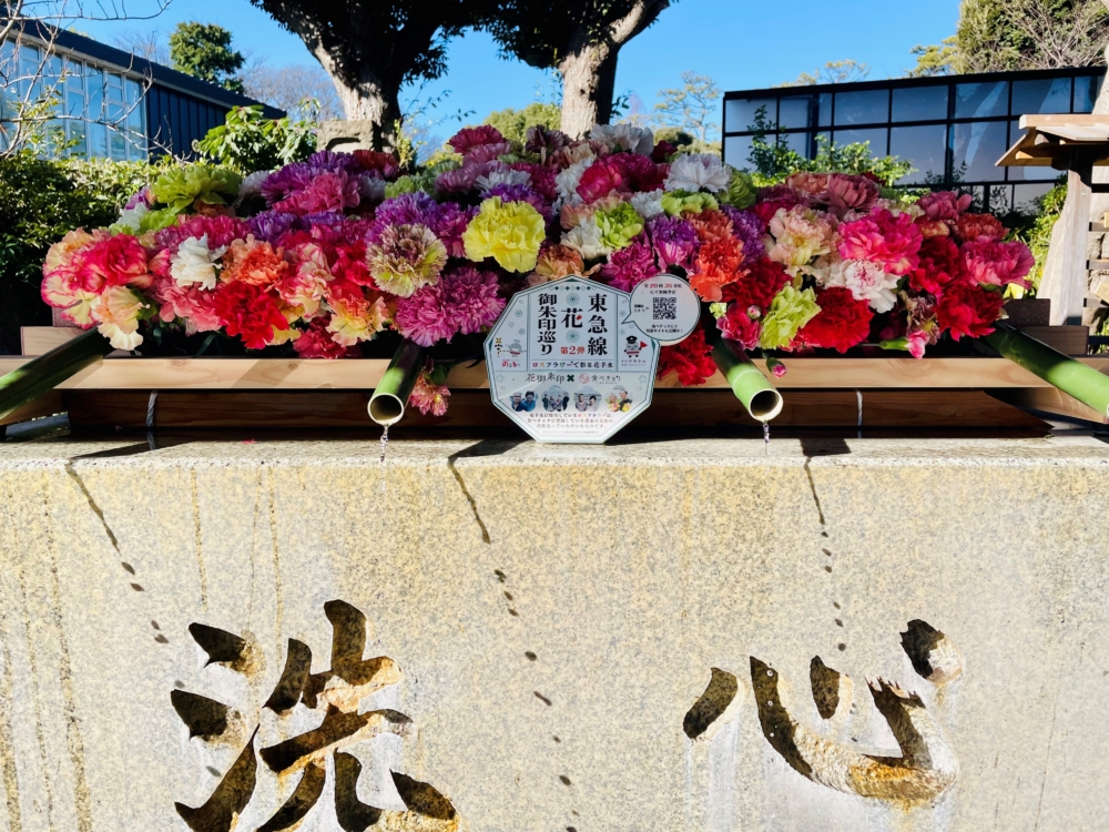 「東急線花御朱印之旅」第二輪活動加入了花手水元素,在各大聯乘的寺廟及神社中打造「花手水」~