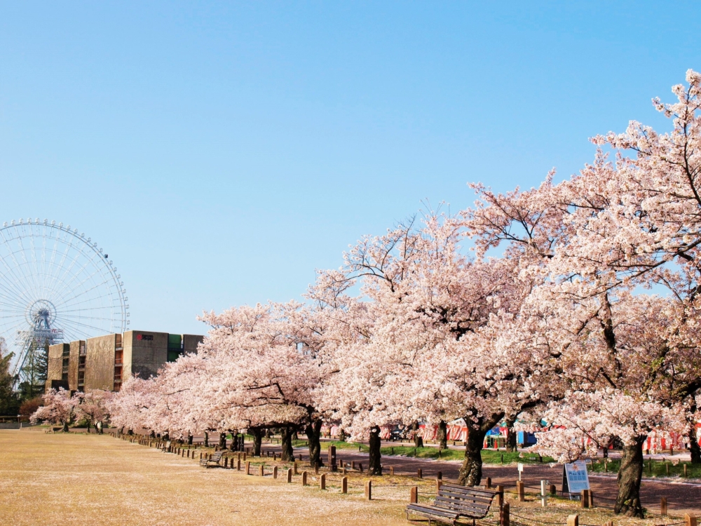 「萬國博覽會紀念公園」，是以於1970年舉辦的「大阪萬國博覽會」會場舊址修建的公園，簡稱為「萬博公園」。