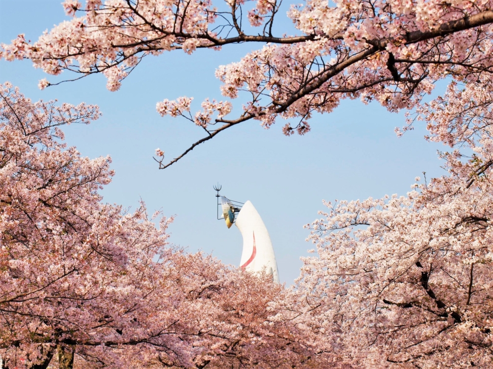 「太陽之塔」是大阪萬國博覽會紀念公園最具代表性的地標！