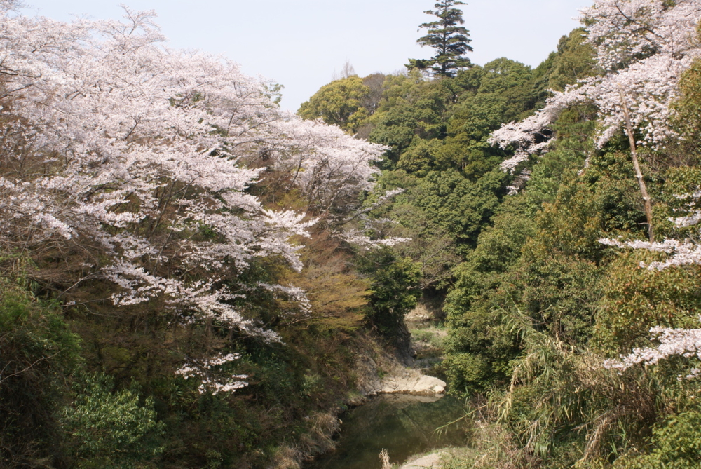大井關公園。