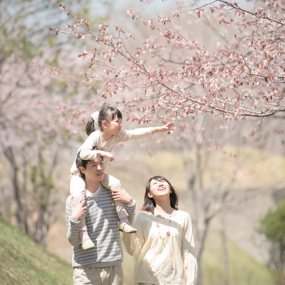 櫻花祭期間，大阪萬博公園特別設置多個美食、工藝品、飾物、盆栽等攤檔～