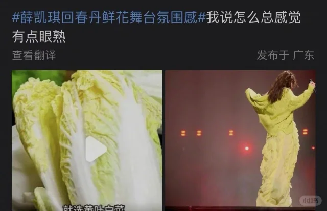 同時亦有網友認為Fiona外型可愛並不適合這種「小清新」的妝容