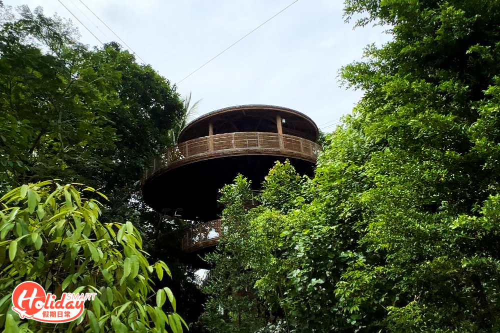 「紐格威森林非洲翼境」則仿照非洲森林山谷建造，設150棵樹讓鳥類棲息，擁有80多種非洲鳥類。