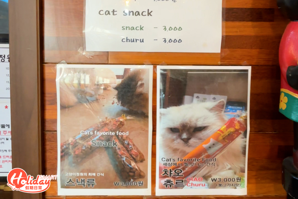 店內有貓飼料供購買。