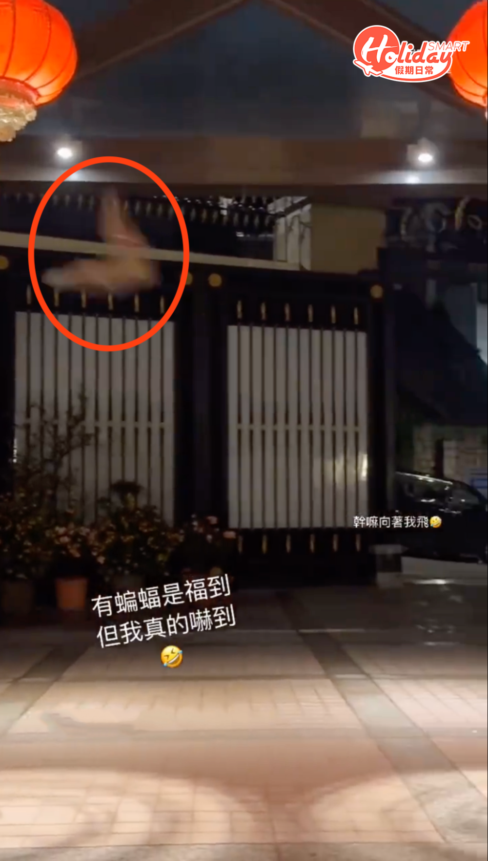 何超蓮表示：「有蝙蝠是福到，但我真的嚇到。」她又稱：「幹嘛向著我飛」