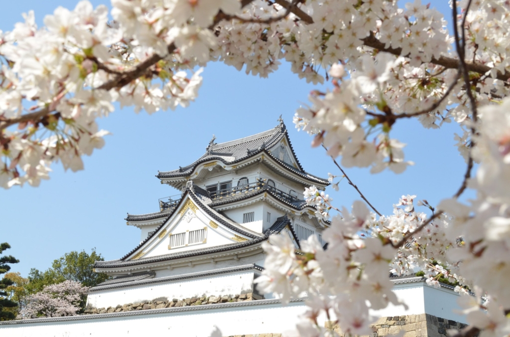 岸和田城。