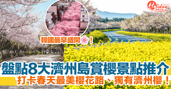 【濟州櫻花2024】盤點8大賞櫻景點推介！韓國最早盛開櫻花！打卡春天最美櫻花路、獨有濟州櫻！