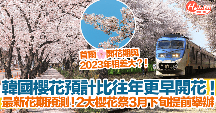 【韓國櫻花2024】韓國櫻花預計比往年更早開花！最新花期預測！2大櫻花祭3月下旬提前舉辦！