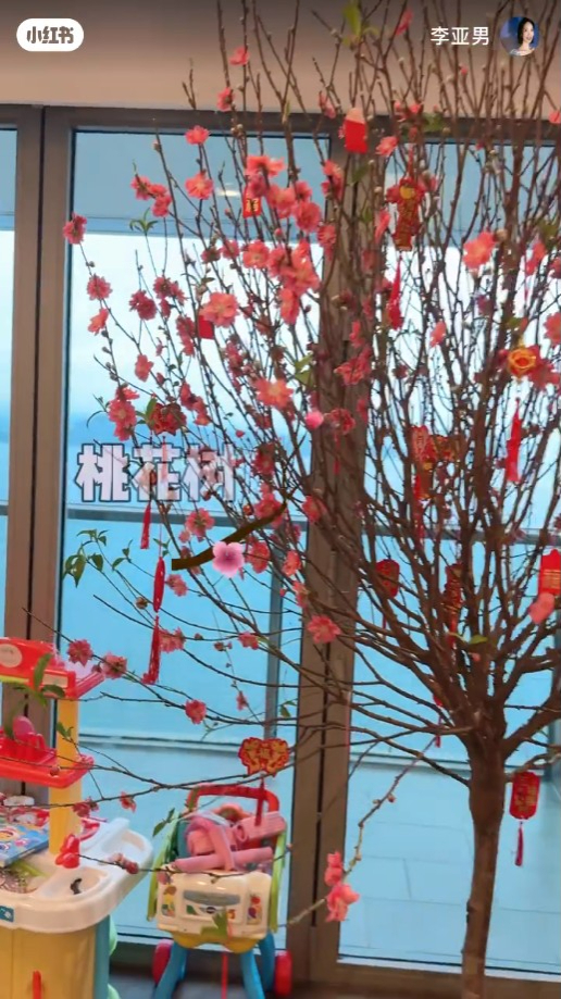 空間闊落的客廳足夠擺放一棵大桃花