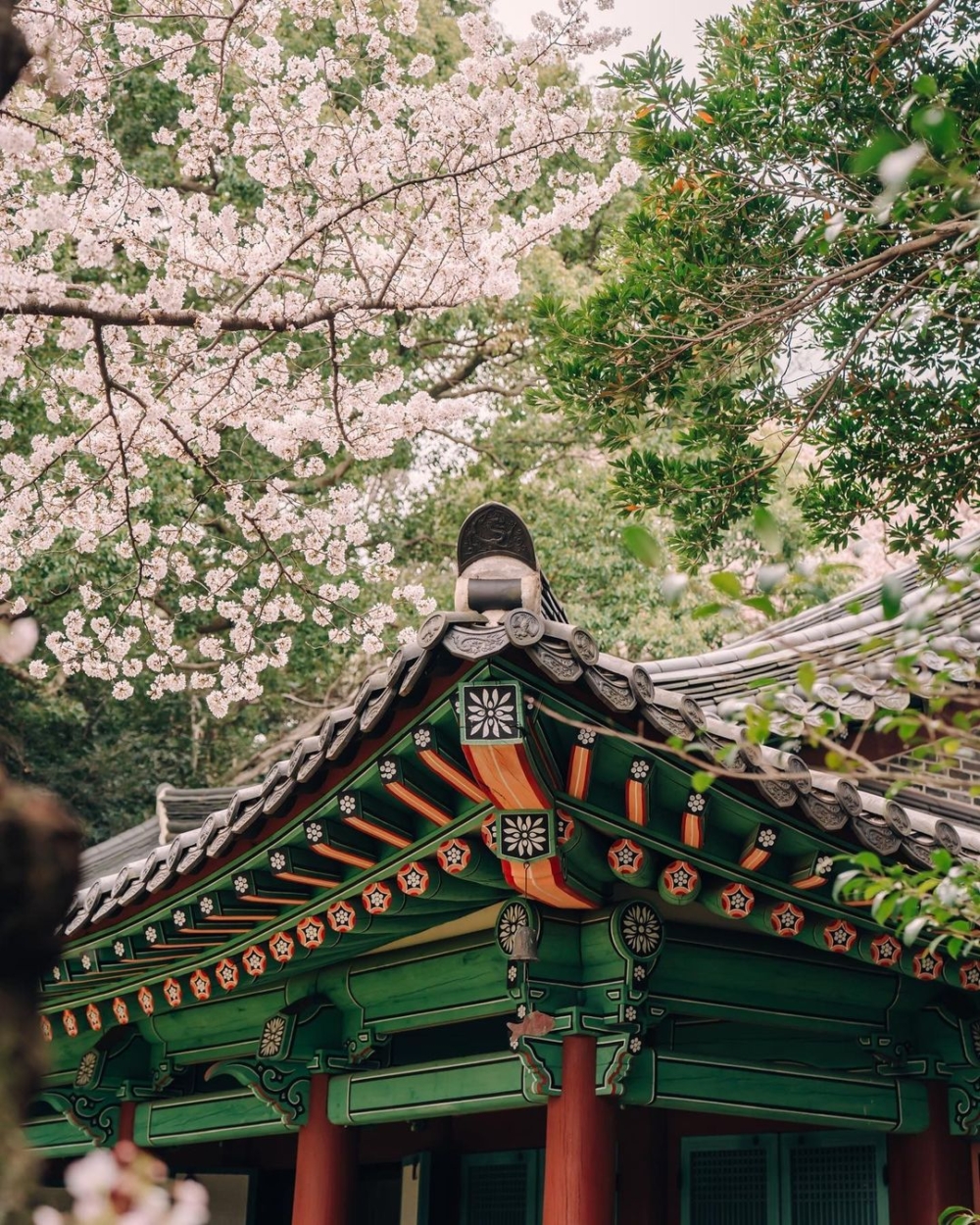 三姓穴相傳係濟州神話的發源地～