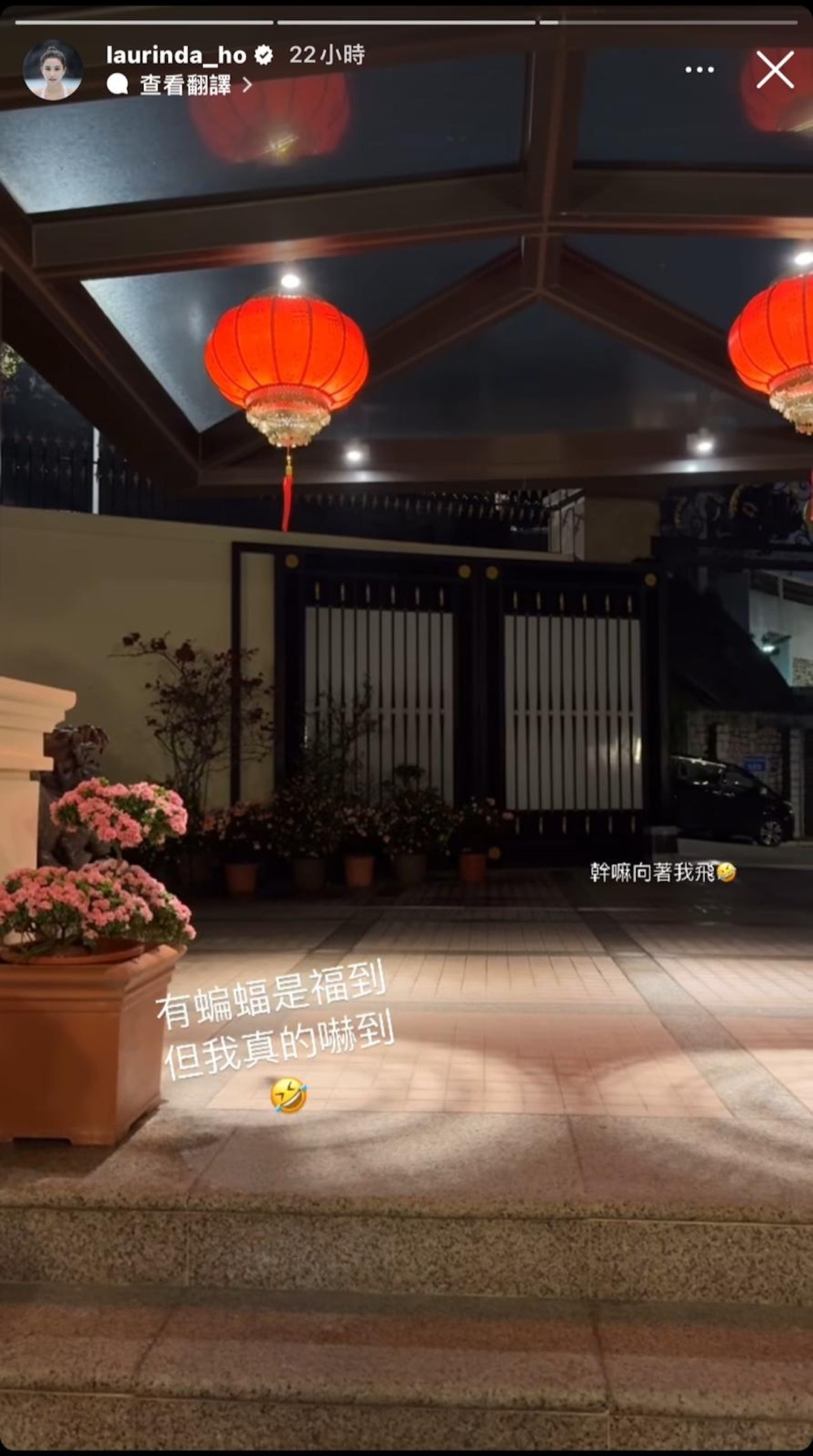 另一段影片何超蓮更公開豪宅室外花園