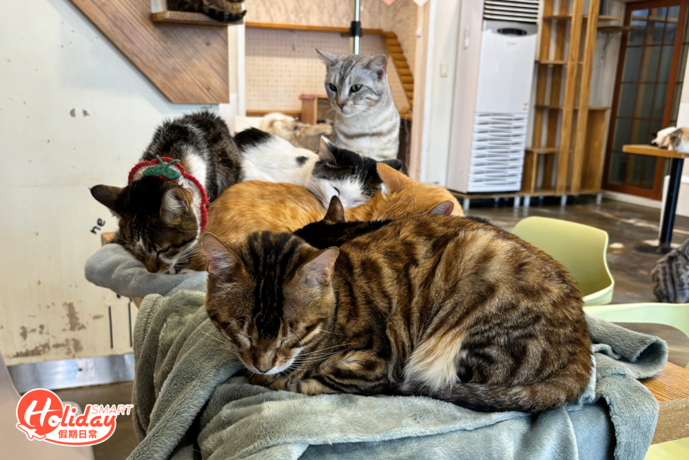 因天氣寒冷而互相取暖。