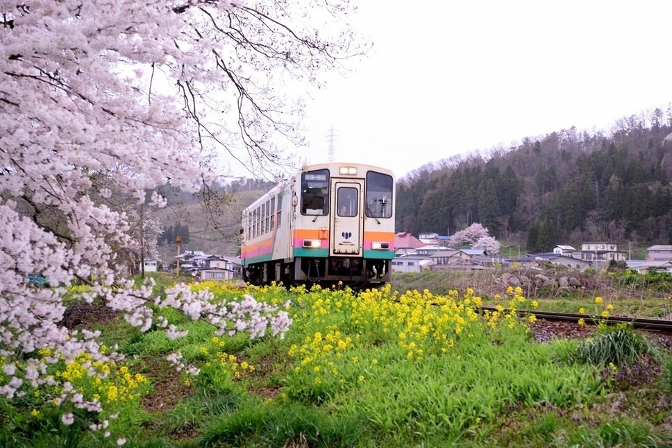 山形_花之長井線。 