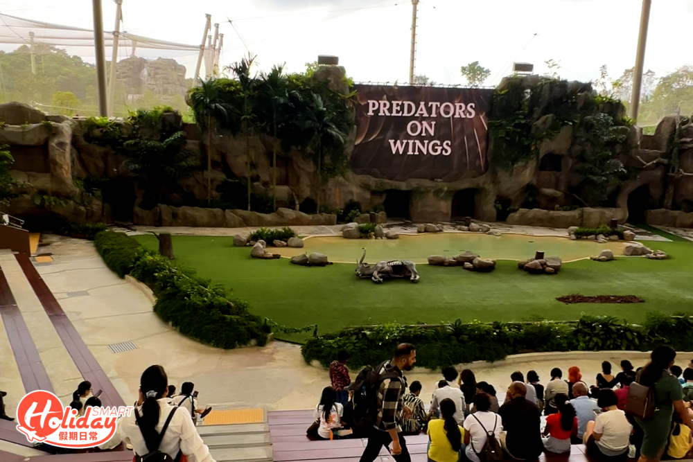 園內也設2大鳥類表演於天際劇場(Sky Amphitheatre)進行，包括「展翅高飛表演」及「猛禽表演」，讓遊客觀賞到鳥類驚艷的羽翼和敏銳的智商！