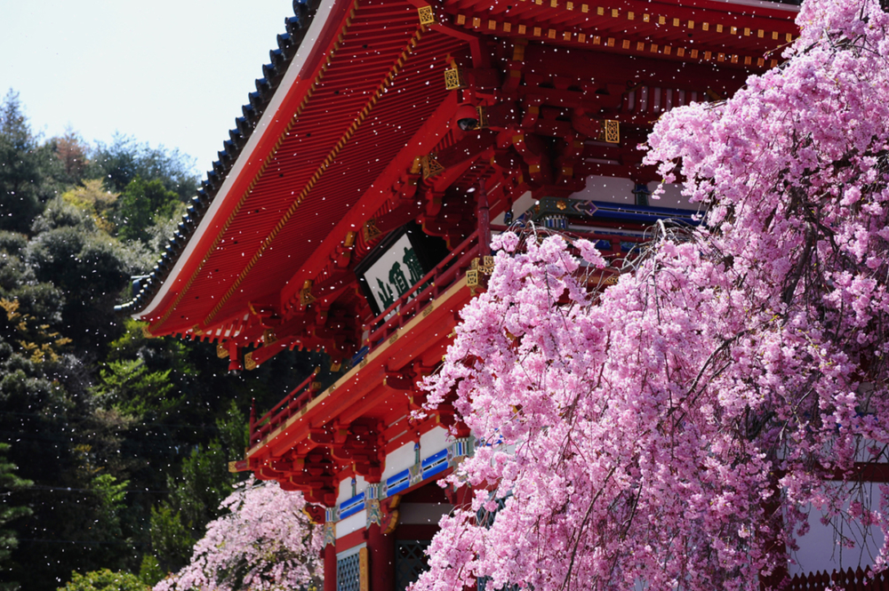 勝尾寺。