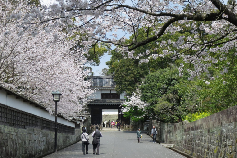 想要佔到視野好的靚位，最好越早前往越好！