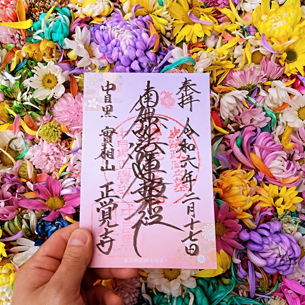 收集特別款式花御朱印的限定活動!