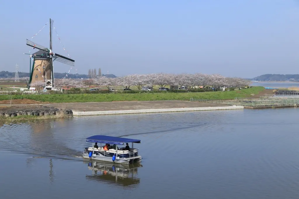 乘搭觀光船遊覽印旛沼～