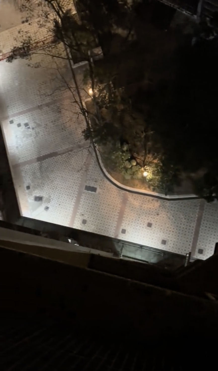 影片中，她疑似站在一座高樓的邊緣