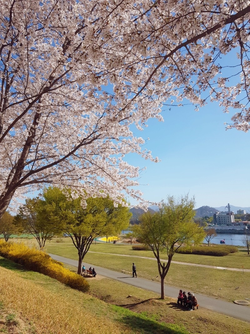 琴湖江峨洋橋。