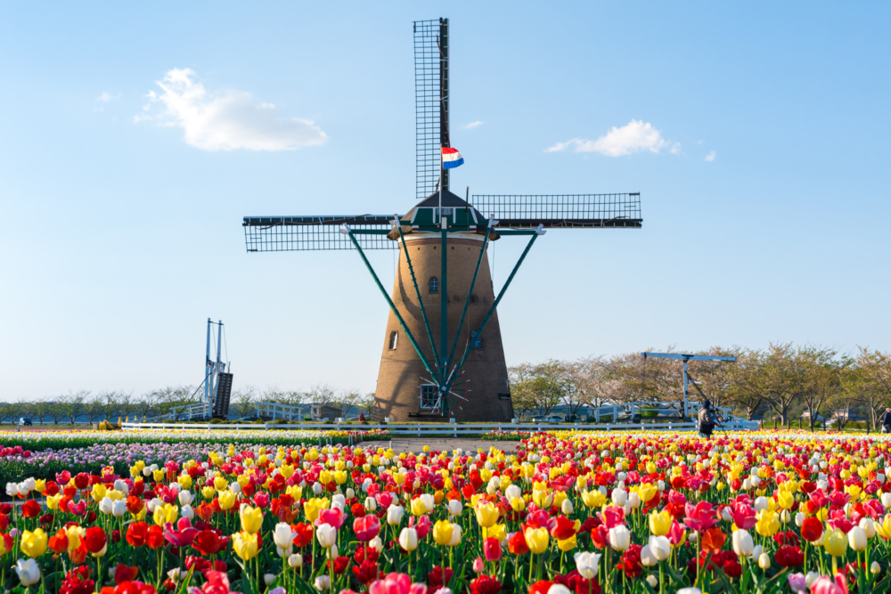 佐倉故鄉廣場前往京成電鐵，可乘搭京成電鐵或巴士～