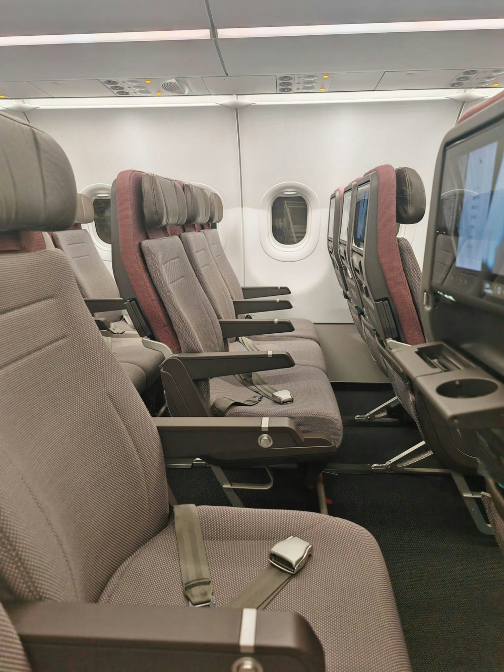 事主指對整體飛行體驗表示滿意