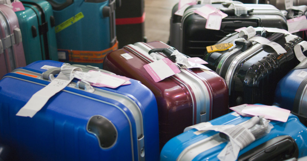 回家後最好即日以高溫清理行李及其他物品～