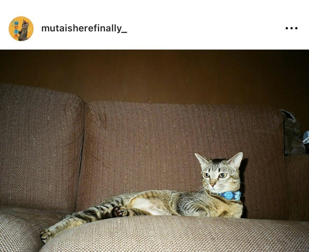 Locker與Marf二人都是愛貓之人,兩人都不時會分享貓貓的生活照,而Marf更為愛貓Muta開設了IG