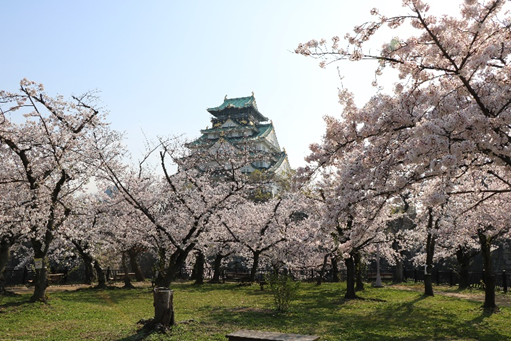 有大阪周遊卡可免費參觀大阪城天守閣