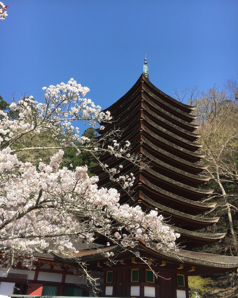 奈良談山神社。