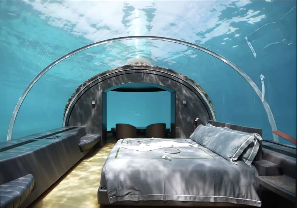 電梯門一開便可透過寬敞的窗戶欣賞海洋生物的全景