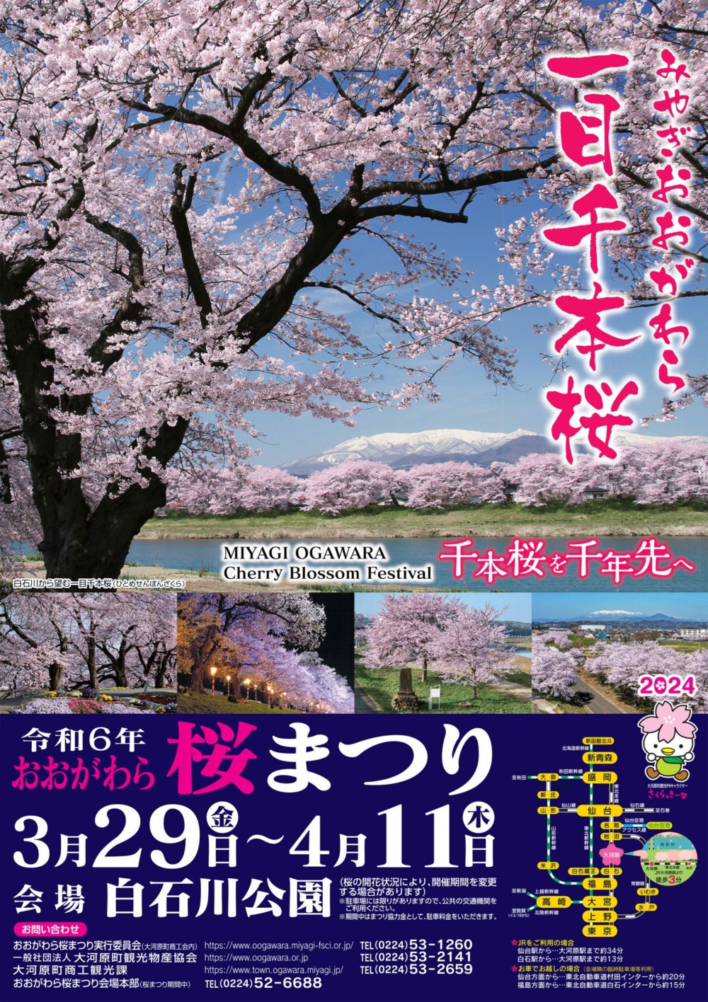 配合櫻花季來臨,白石川河堤會舉辦「大河原櫻花祭(おおがわら桜まつり)」。