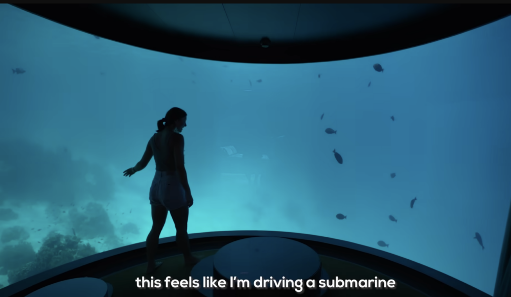 可以隨時透視小魚的日常，可謂是前所未有的奢華體驗！