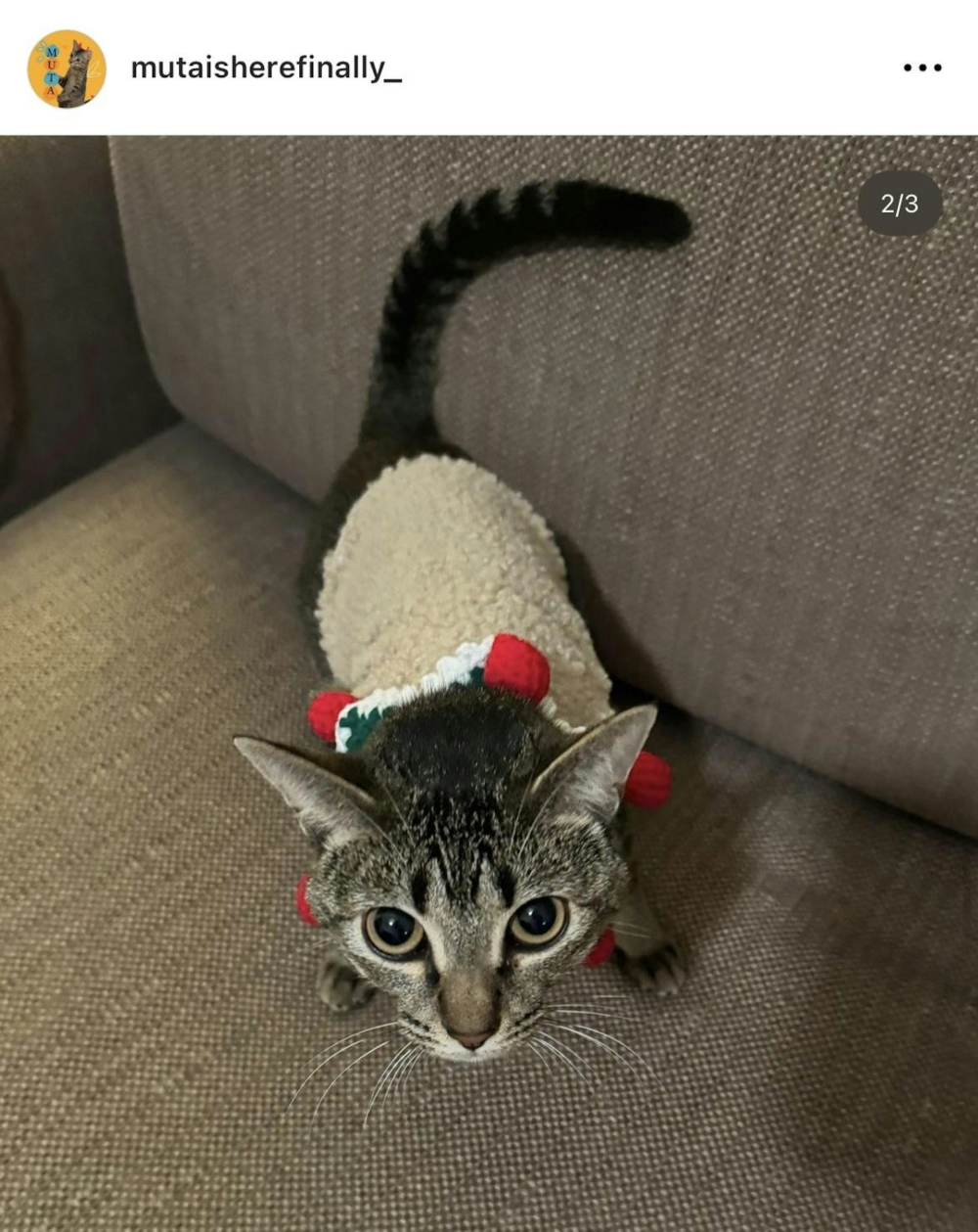 不過對比兩人的晒貓相就能發現,兩人玩貓的沙發以及背景的電視櫃竟然一模一樣