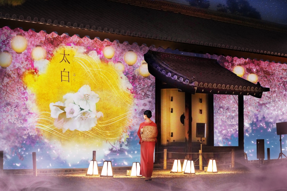 台所前庭互動藝術「花時」。