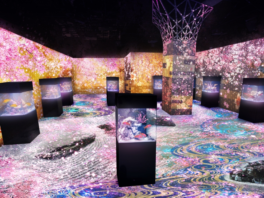 採用22台投影機，將盛開的櫻花及充滿和風元素的圖案投影在3.7米高的牆壁～