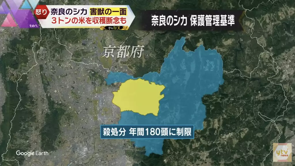 市中心距離逾10公里範圍，則容許每年撲殺每年不多於180隻鹿