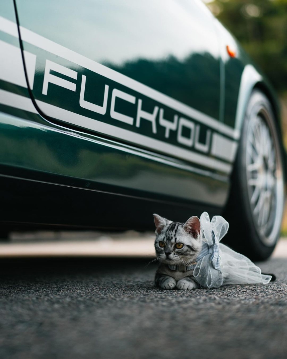 Tyson將車身的「Porsche」標誌改為「F**k You」