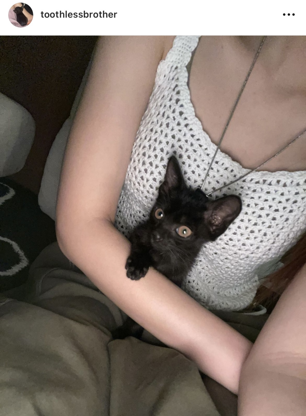 Day的貓貓IG照中亦見到有兩個白色攬枕,同Nathan嘅十分相似!