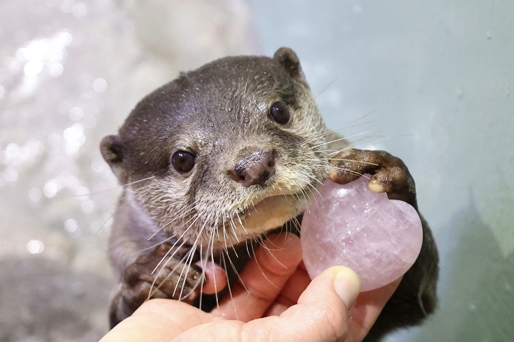 水族館的門票根據年齡分成3種票價～