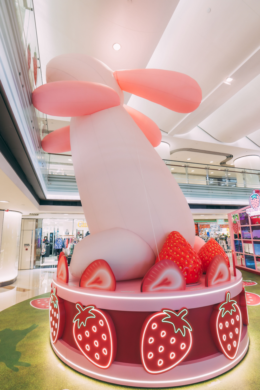 萌兔草莓の丘。