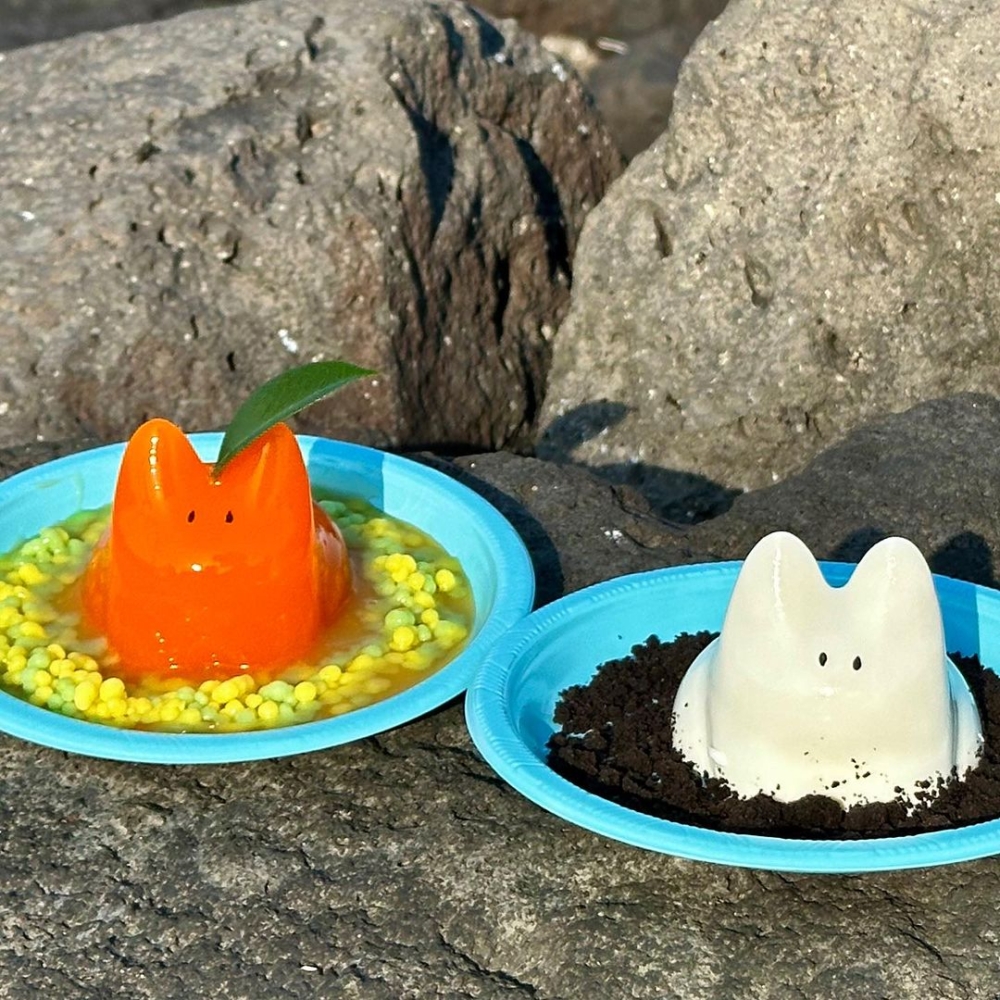 近期在網上熱爆會跳舞的兔子布丁！