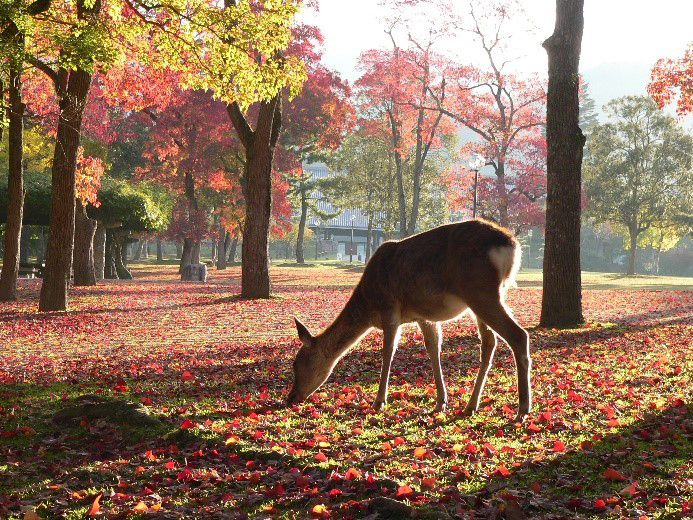 有人認為政府行為相當殘忍