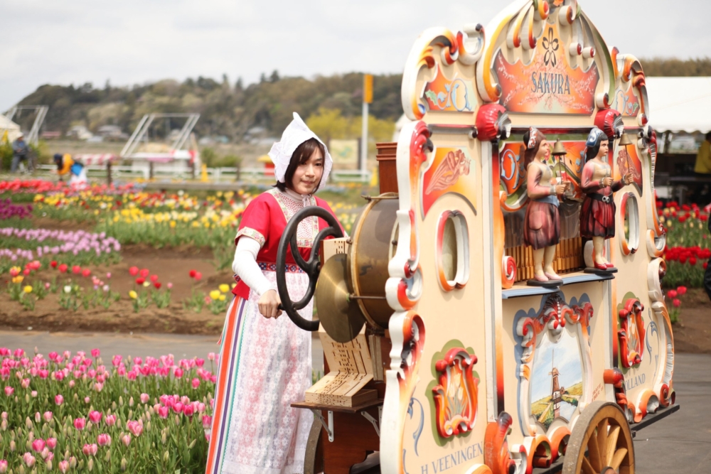 鬱金香季期間，每個週末都會舉辦街頭風琴表演～