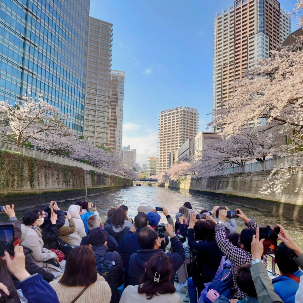 船隻採用露天開放式設計，視野更廣闊！