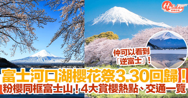 【富士河口湖櫻花祭2024】3.30回歸！粉櫻同框富士山！4大賞櫻打卡熱點、交通一覽！