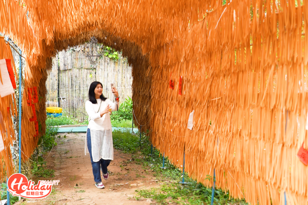 營地大走夏威夷風格，甫入正門就見到幾棵椰樹，旁邊也有一條乾草隧道的打卡位，希望讓人有尤如置身於夏威夷度假感覺。